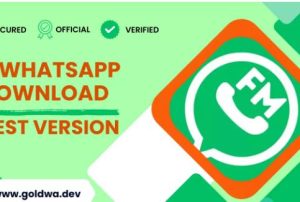 Download FM WhatsApp: The Future of Messaging